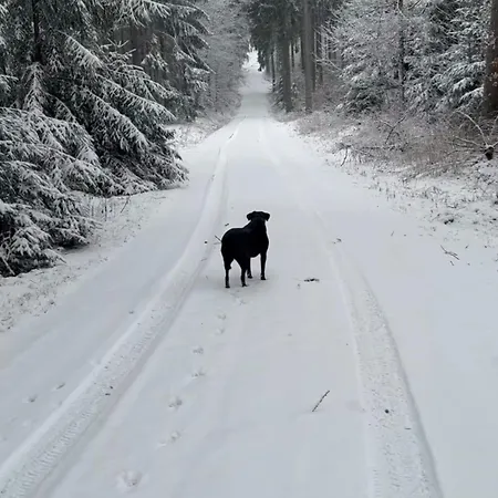 Ellis-ferienwohnung-erzgebirge アパート *