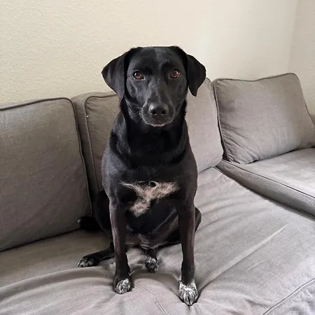 아파트 Ellis-ferienwohnung-erzgebirge