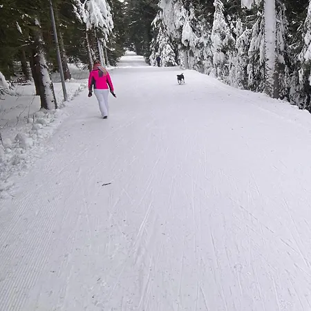 Ellis-ferienwohnung-erzgebirge アパート Drebach