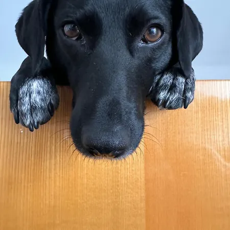 Ellis-ferienwohnung-erzgebirge