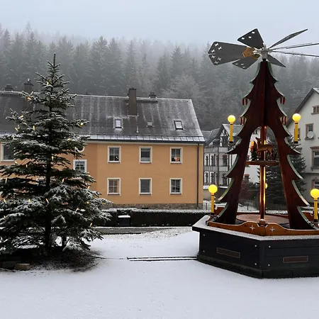 Ellis-ferienwohnung-erzgebirge Apartment