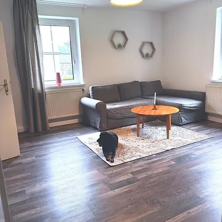 Ellis-ferienwohnung-erzgebirge * Drebach