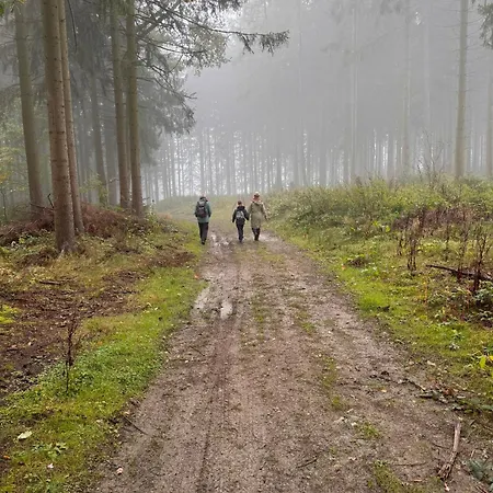 Ellis-ferienwohnung-erzgebirge *